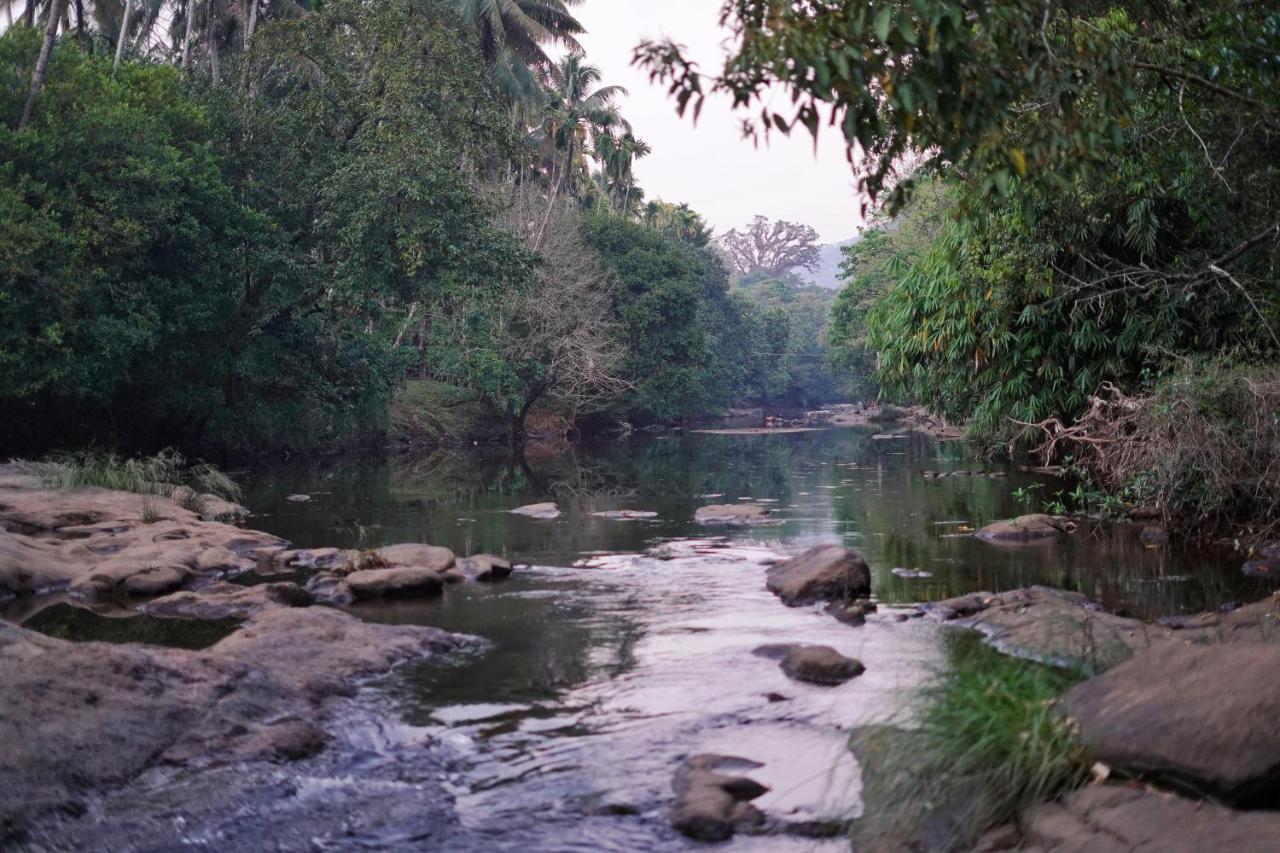 Athirapilly On The Rocks Hotel Athirappilly Exterior photo